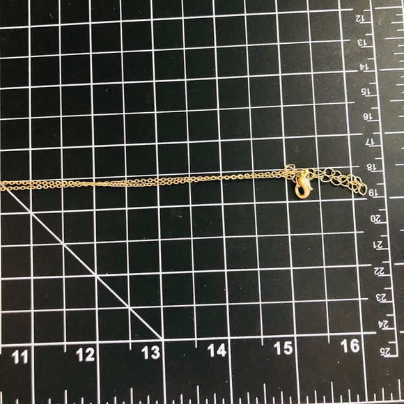 Vintage Fossil Bracelet & Fan Necklace - Picture 6 of 9